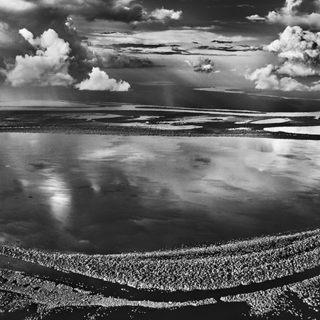 © Sebastião Salgado/Contrasto Anavilhanas, isole boscose del Río Negro. Stato di Amazonas, Brasile, 2009.