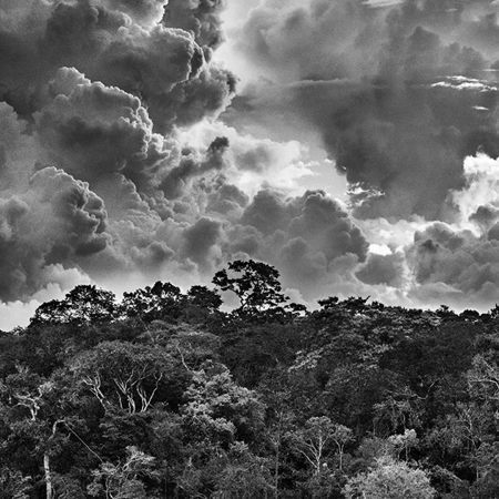 © Sebastião Salgado/Contrasto
Arcipelago fluviale di Mariuá. Rio Negro. Stato di Amazonas, Brasile, 2019.