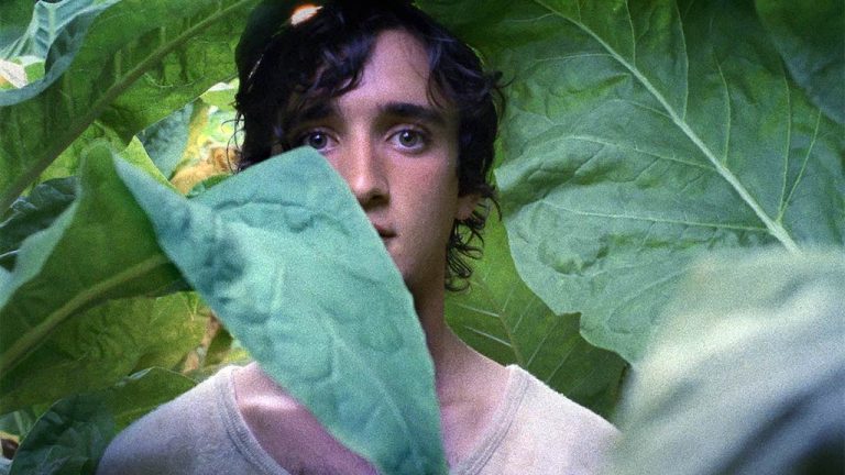 Lazzaro felice rassegna cinematografica Suggestioni MAXXI L'Aquila