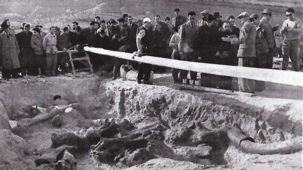 Ritrovamento del mammut L'Aquila